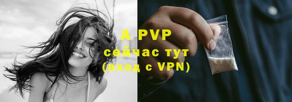 соль ск Строитель