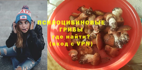 герыч Верхний Тагил