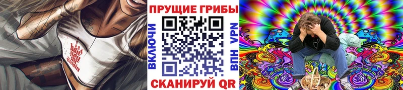 Галлюциногенные грибы Cubensis  даркнет сайт  Княгинино 