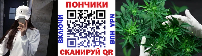 Марихуана Bruce Banner Княгинино